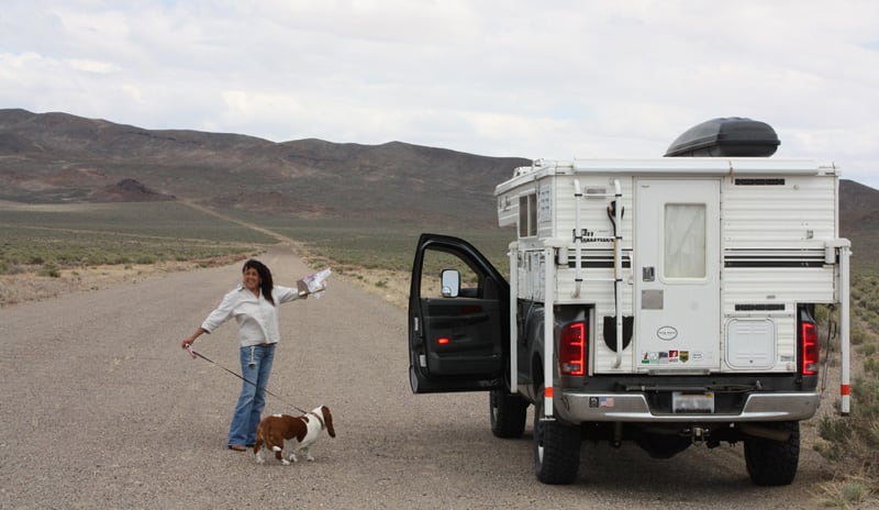 Dog Walk Break In The Desert