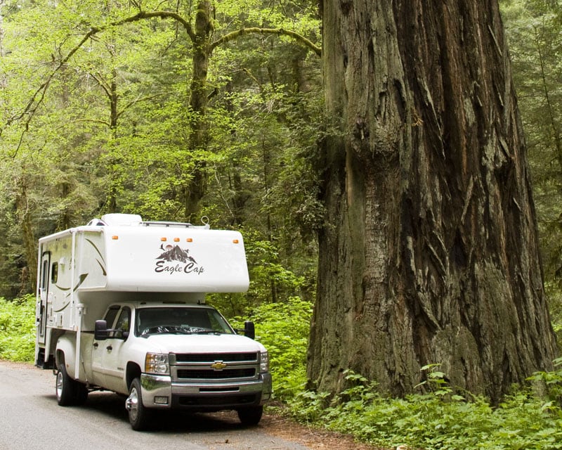 Redwoods National Park