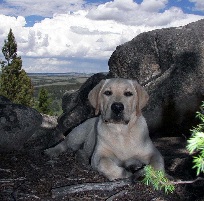 Cooper Hiking Deadman Road Area