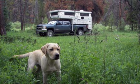 Cooper Near Rawah Wilderness