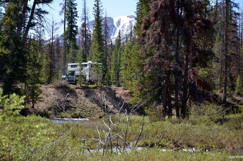 Owl Mountain Area Near Gould Colorado