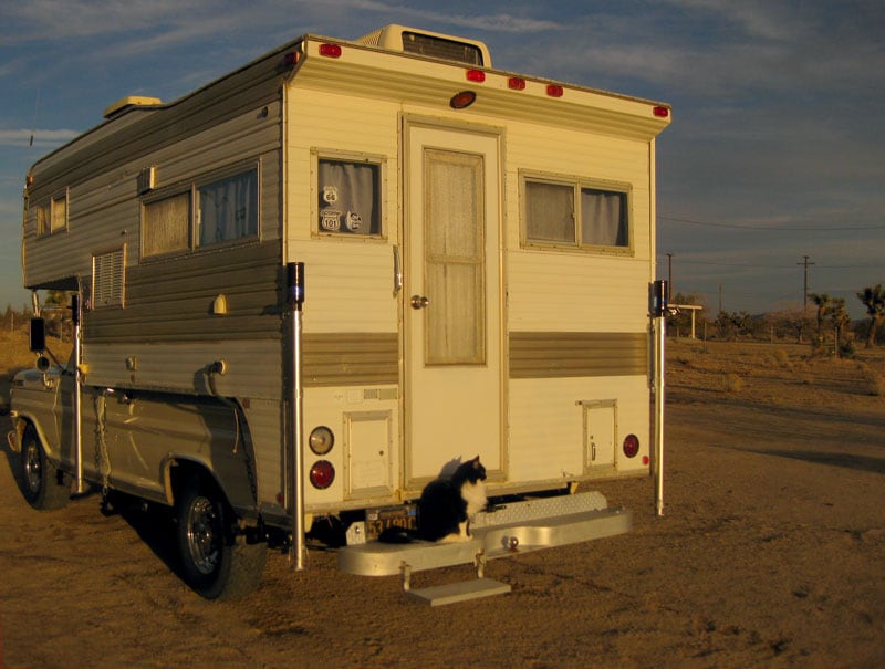 Googie Waiting To Go Camping