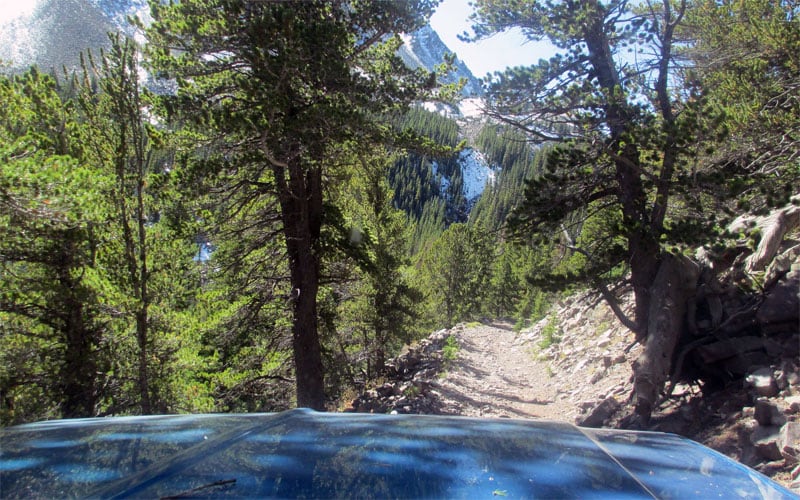 Two Track Jeep Road Camper