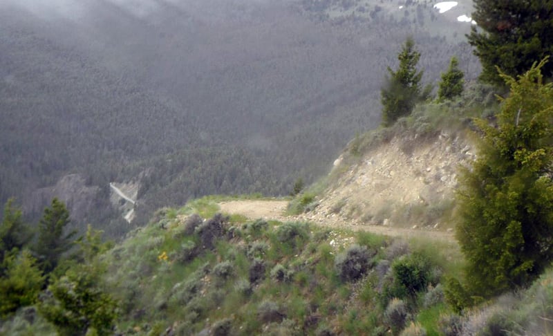 Gummy Bear Road Montana