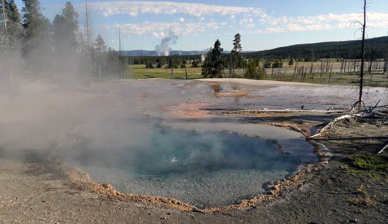 Yellowstone Road Magic