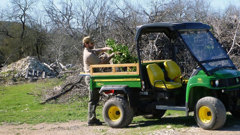 Clearing Limbs At Garner State Park