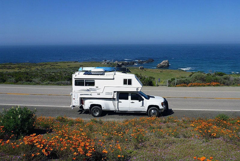 The Pacific Coast Hwy Wildflowers