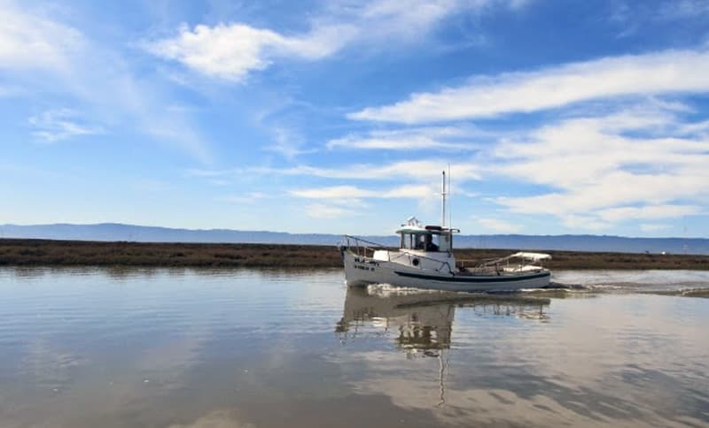 Newark Slough, San Francisco Bay