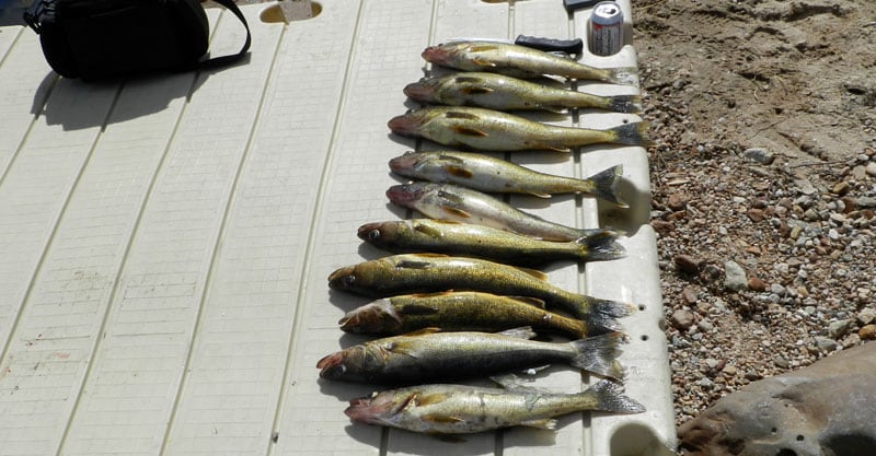 James Bay, Quebec Fishing Walleye