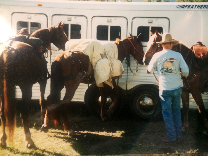 Long Term Horse Travel Tips