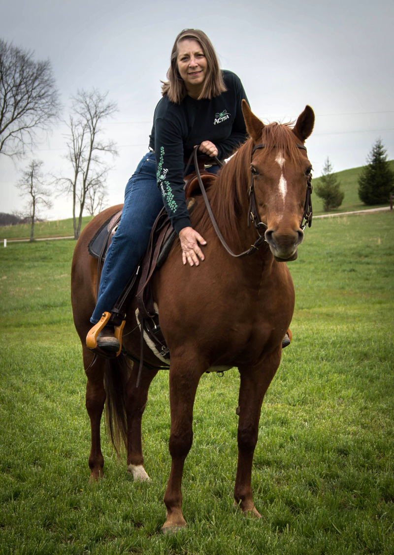 Missouri Fox Trotting Horse