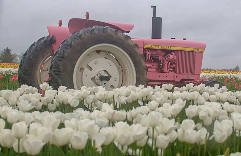 Tulip Festival in Oregon Tractor