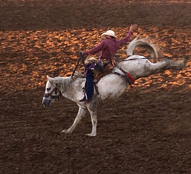 Black Hills Round Up In Belle Fourche