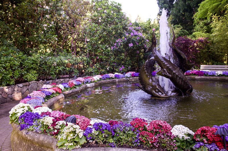 Butchart Gardens Fountain