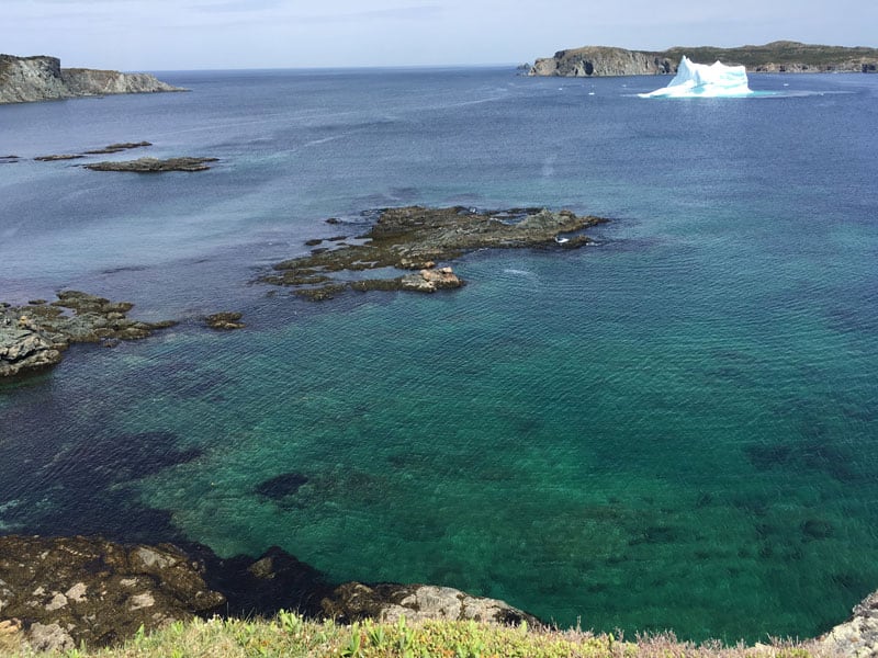 Iceberg In Twillingate Newfoundland