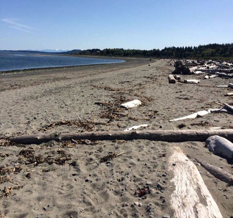 Island View Beach