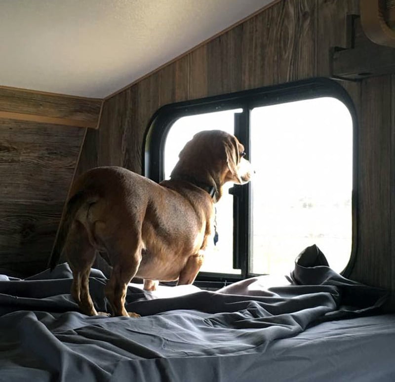 Pit Stop Checking Out The View From The Top Bunk Of The Camper At 281 Speedway In Stephenville TX