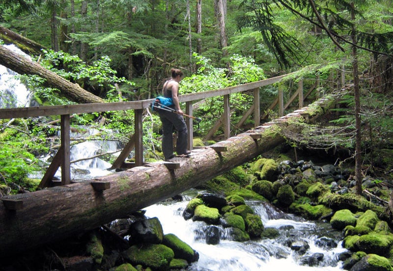 Rainforest Bridge Vancouver Island