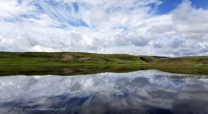 Reflection In Hayden Valley