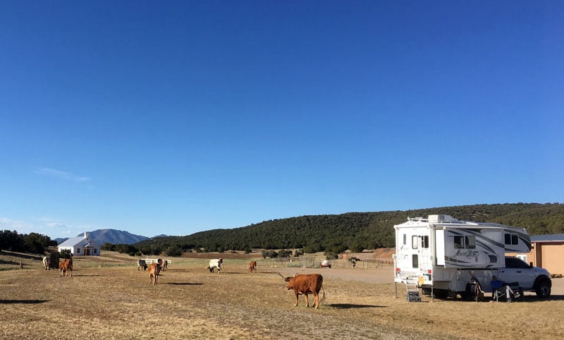 Staying On A Ranch With A Herd Of Longhorns In Moriarity New Mexico