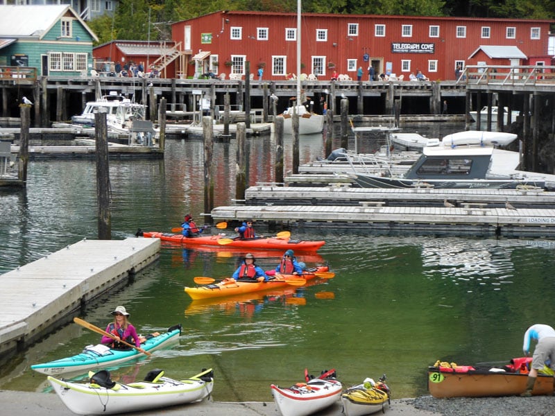 Telegraph Cove Kayakers