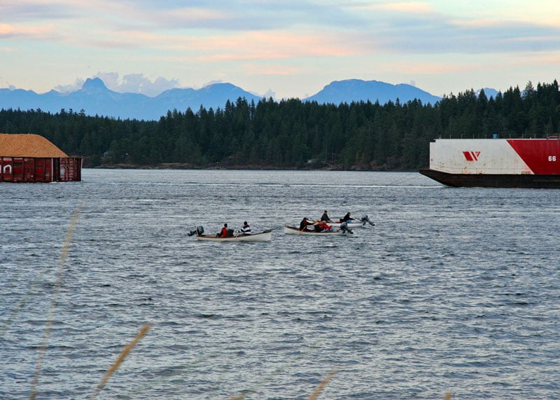 Tyee Salmon Fishing happens every year on the Campbell River