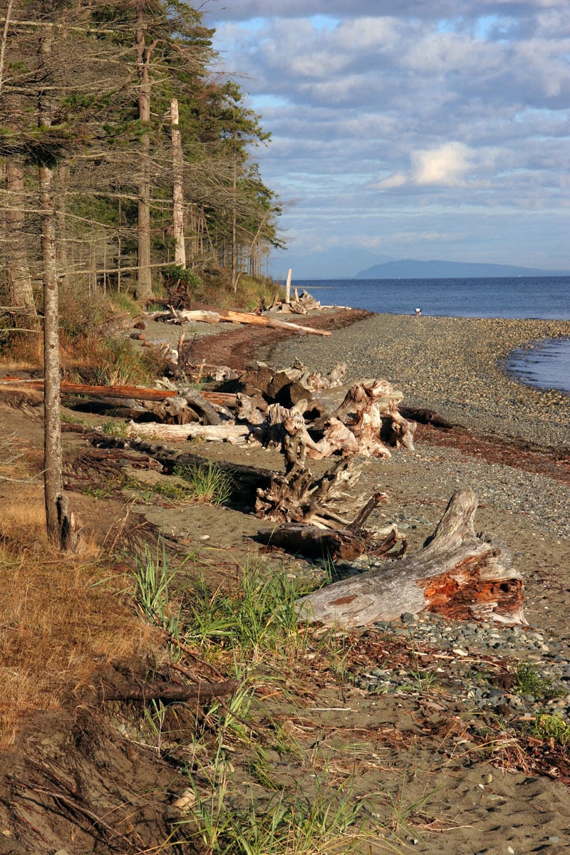 Coast Between Comox Or Nanaimo