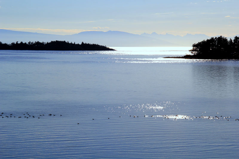 East Coast Of Vancouver Island