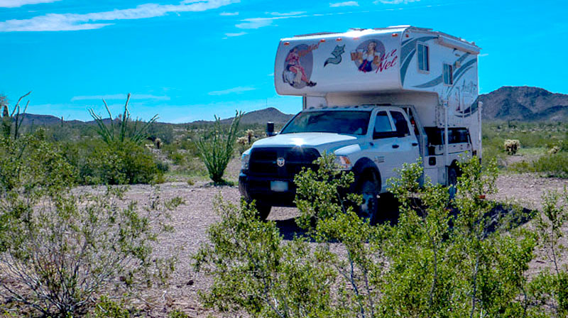 Palm Canyon Camping