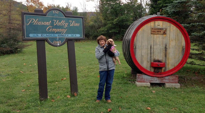 Pleasant Valley Wine Company