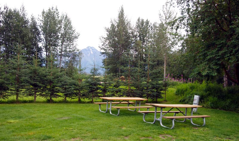 US Forestry Campground At Stony Point