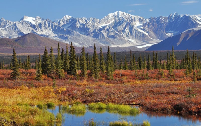 Along The Denali Highway Alaska