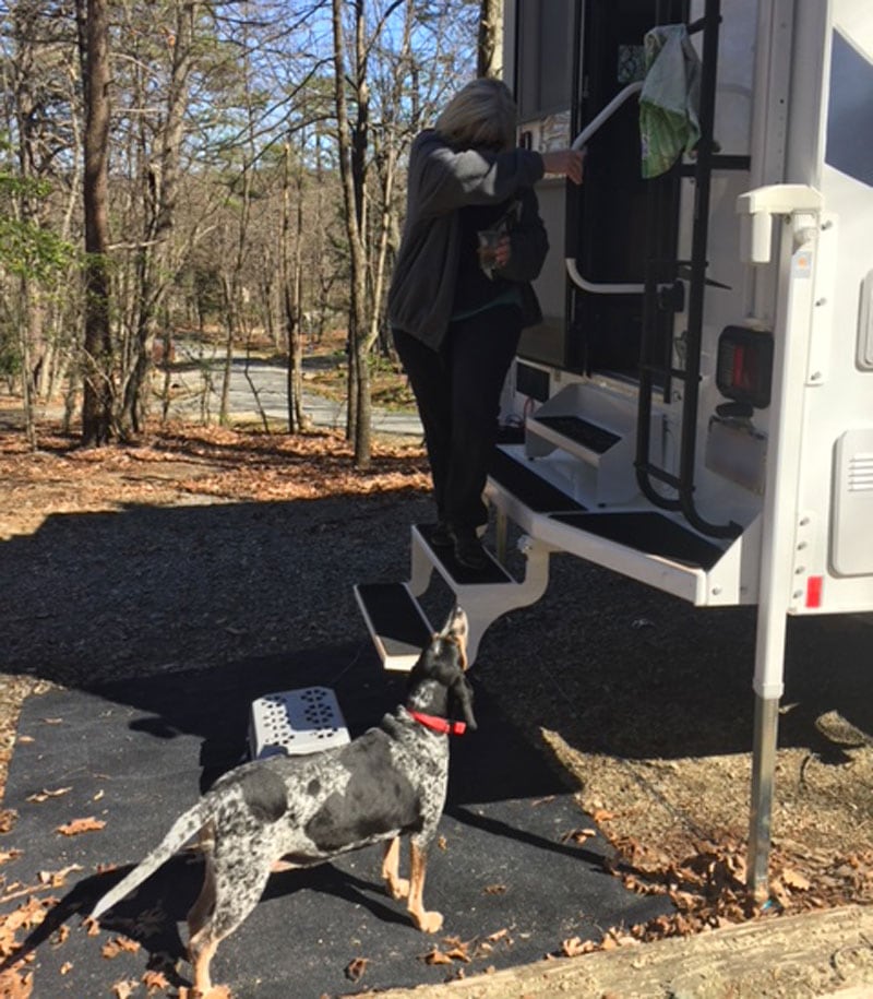 Bluetick Hound Annie Smith