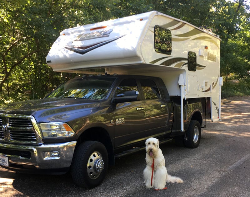 Golden Doodle Camping In Lance Camper