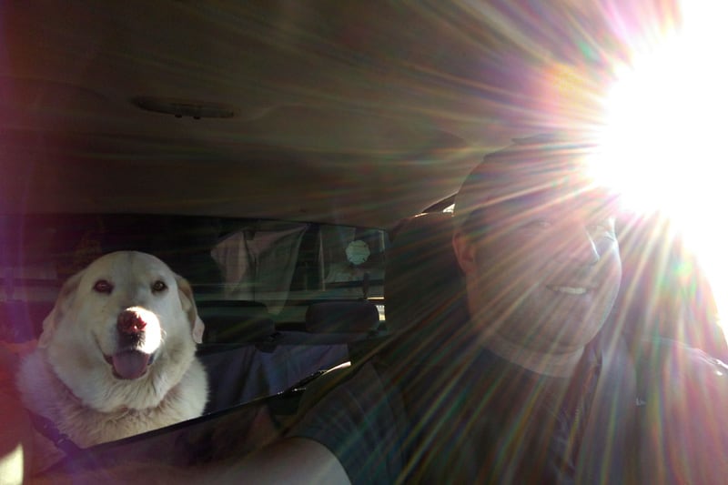 Great Pyrenees Camping