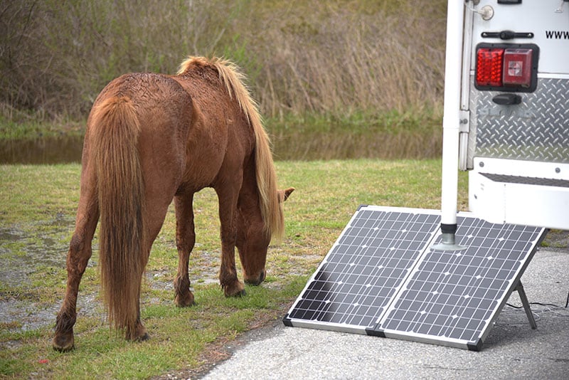 Portable Solar At Assateague National Park Campground