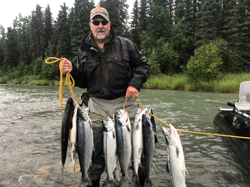 Red Salmon Sockeye Along The Kenai River