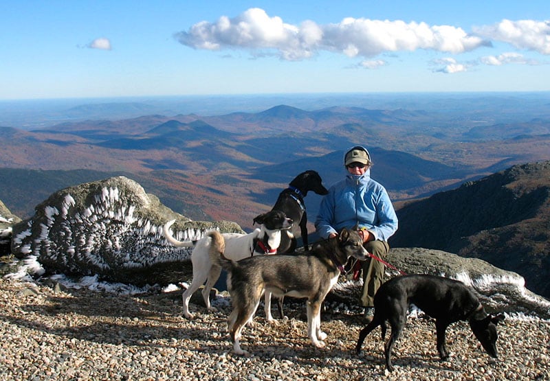 Top Of Mt Washington NH