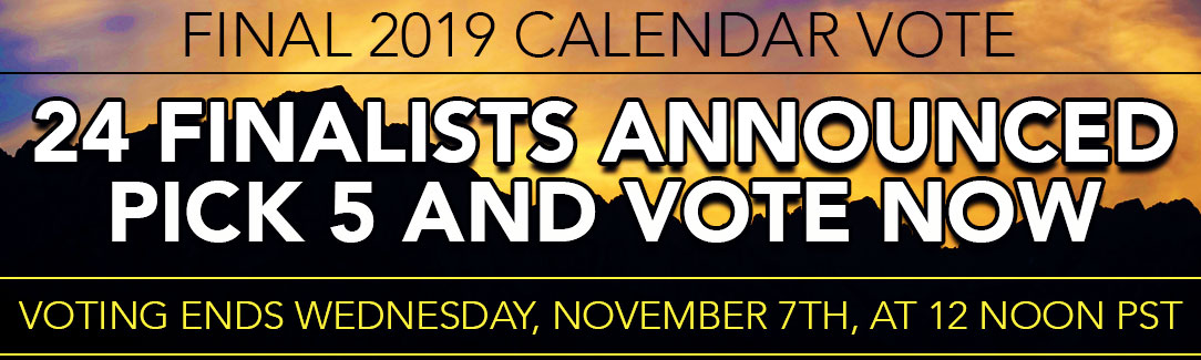 2019 TCM Calendar Vote Final