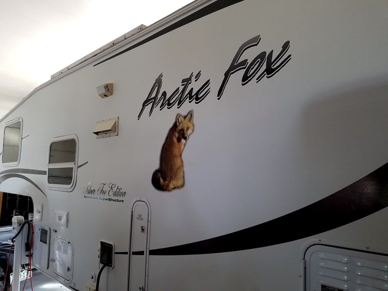 Fox Sticker Under Arctic Fox Logo