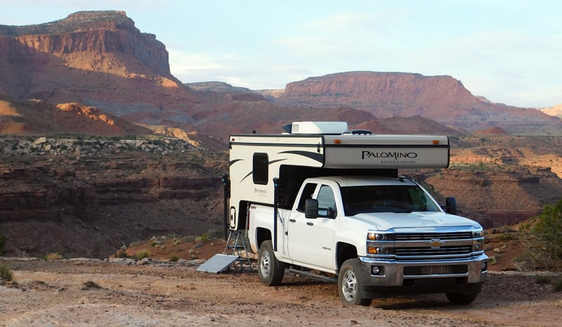 Palomino With Portable Panels