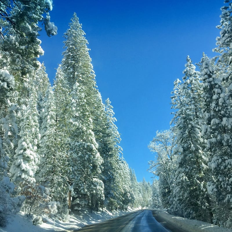 Snowy Drive Back To Woodland California