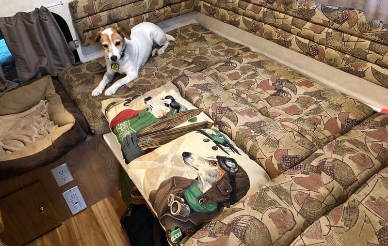 Dog Enjoying Dinette Bed Camper