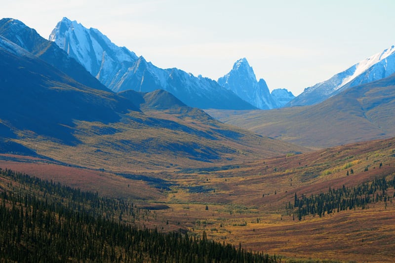 Tombstone Park Ogilvie Mtns