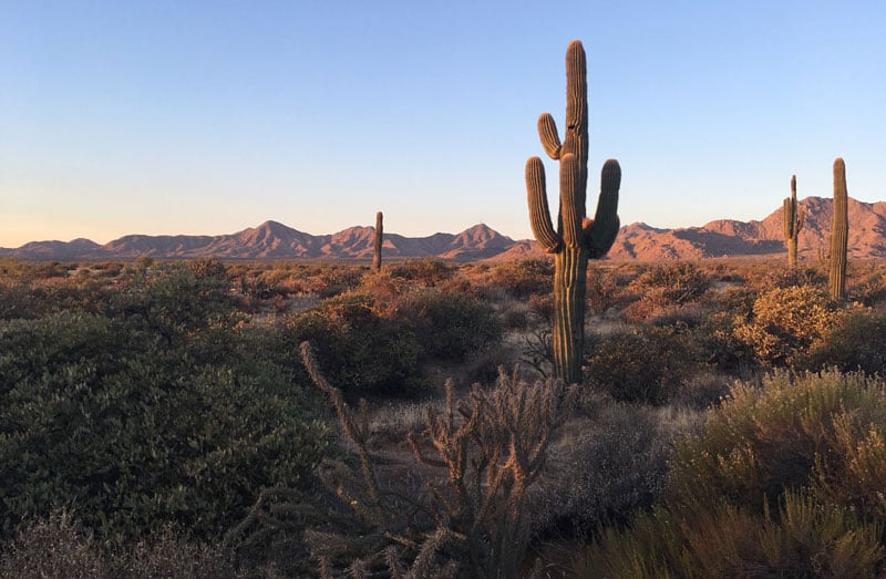 View at McDowell Mountain Park Arizona