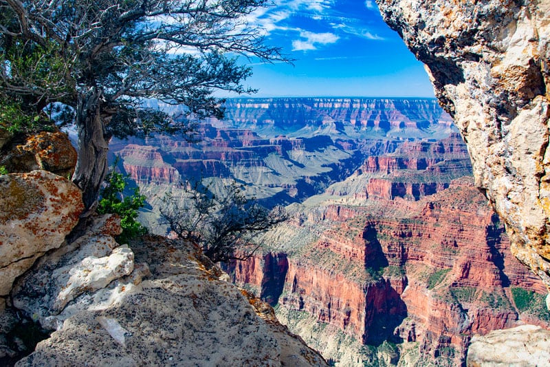 Bright Angel Point Trail Scenery Grand Canyon