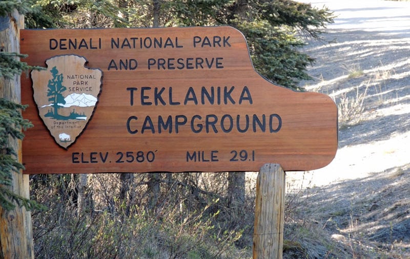 Denali Teklanika Campground Park