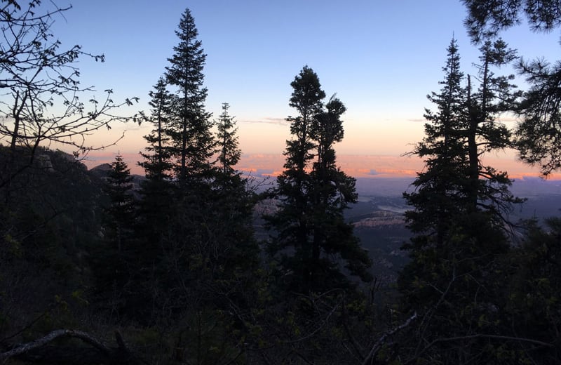 Grand Canyon North Rim Trees And Sunset