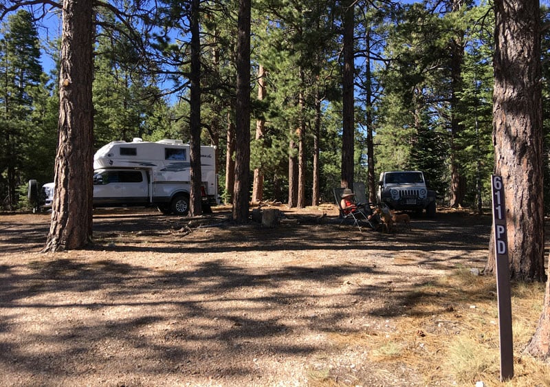 Jacobs Lake Forest Campground On Arizona 67