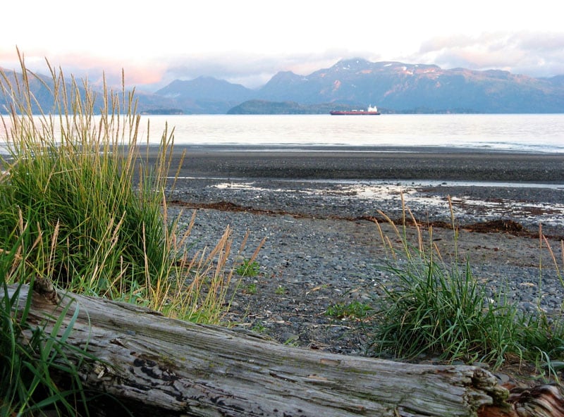 Mariners Park In Homer AK
